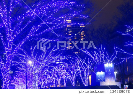 Enjoy the blue illuminations at the Blue Cave Enjoy the blue illuminations at the Blue Cave 134289078