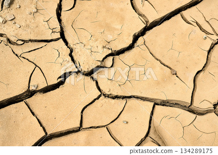 Dried earth with cracks under sunlight 134289175