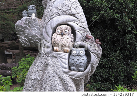 Nogi Shrine [Nogi Town, Tochigi Prefecture] 134289317