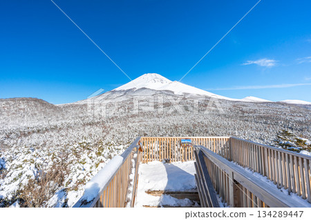 Mizugazuka Park, Mount Fuji from Koshikirizuka Observatory, Snow Scene, Mount Fuji 2nd Station 134289447