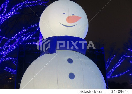 雪人欣賞夜景燈光 134289644