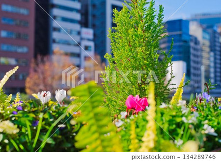 A soothing urban oasis A soothing urban oasis 134289746
