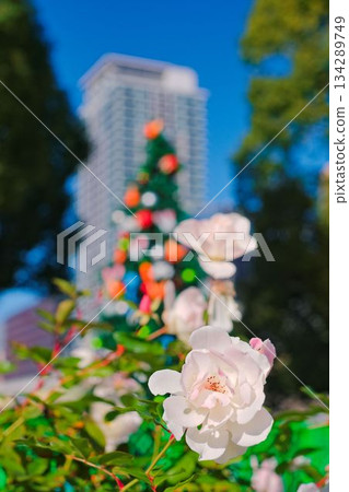 令人心曠神怡的都市綠洲 134289749