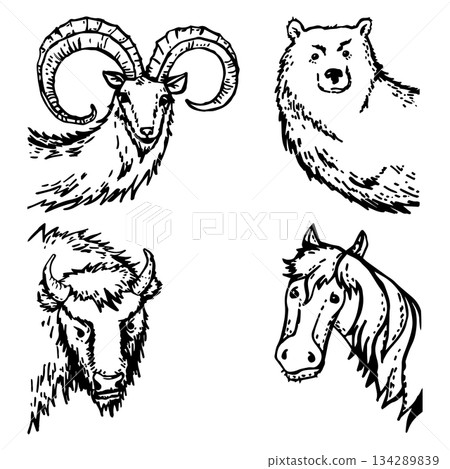 A set of mountain goats, bears, bison, horses 134289839