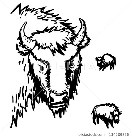 A set of stylized auroch in various sizes 134289856