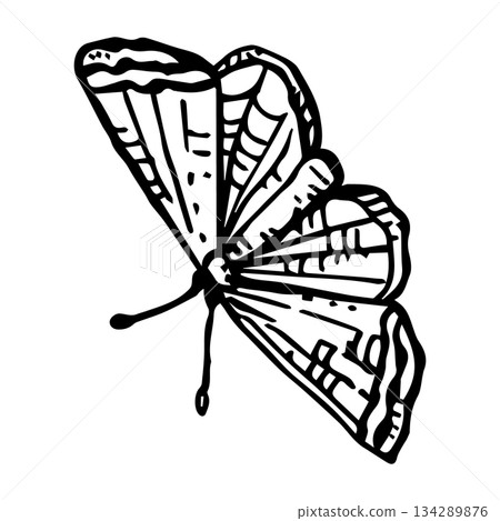 Minimalist vector butterfly for alpine meadows 134289876