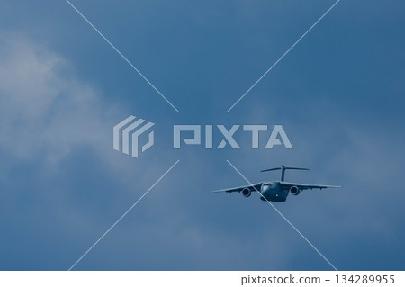 飛機 藍天 蒼蠅 134289955