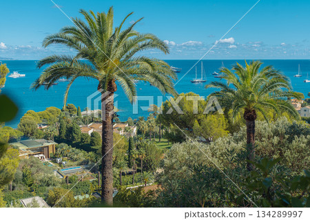 French Riviera with sea views French Riviera with sea views 134289997