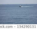 Zushi City, Kanagawa Prefecture: Zushi/Hayama: A small boat sails lightly off the coast of Hayama on a midsummer day. 134290131