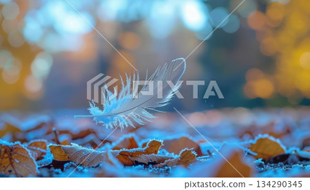 White feather lying softly on frosty ground surrounded by autumn leaves, poetic delicate winter still life symbolizing freedom, fragility, and peaceful transformation in natures cycle White feather lying softly on frosty ground surrounded by autumn leaves, poetic delicate winter still life symbolizing freedom, fragility, and peaceful transformation in natures cycle 134290345