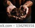 aged hands, wrinkles, holding soil, low key 134290358