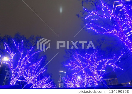 Blue illumination with a sense of depth Blue illumination with a sense of depth 134290568