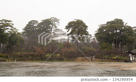 Snow in Odawara Castle Park in the rain Snow in Odawara Castle Park in the rain 134290954
