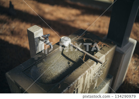 Beautiful autumn foliage in a park at Besshonuma Park in Saitama City in December 134290979