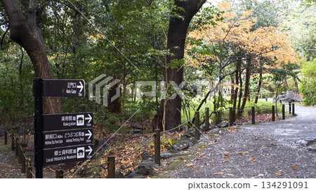 Autumn leaves of Yusuzen Autumn leaves of Yusuzen 134291091