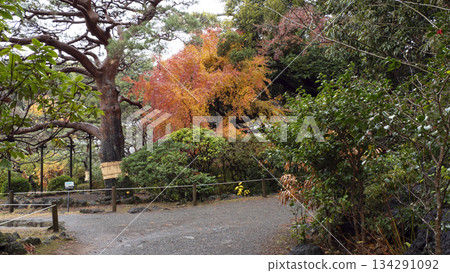 Yusuzen秋葉 Yusuzen秋葉 134291092