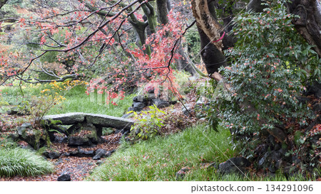 Autumn leaves of Yusuzen Autumn leaves of Yusuzen 134291096