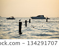 Seascape from local bay with seabirds and boats during colorful sunset, Portoroz, Slovenia 134291707