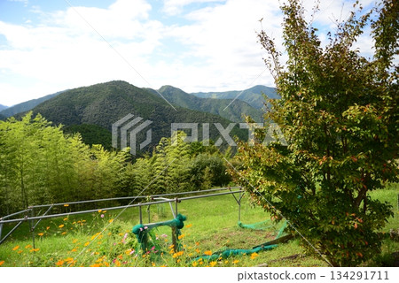 Hatenashi Village (Totsukawa Village, Yoshino District, Nara Prefecture) 134291711