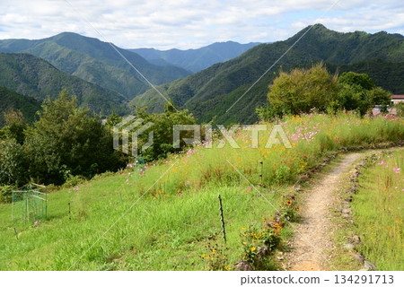 Hatenashi Village (Totsukawa Village, Yoshino District, Nara Prefecture) 134291713