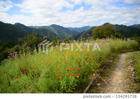 Hatenashi Village (Totsukawa Village, Yoshino District, Nara Prefecture) 134291716