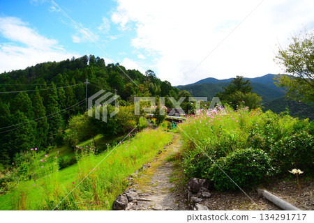Hatenashi Village (Totsukawa Village, Yoshino District, Nara Prefecture) 134291717