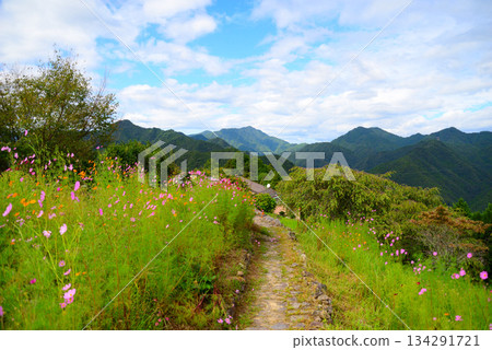 Hatenashi Village (Totsukawa Village, Yoshino District, Nara Prefecture) 134291721