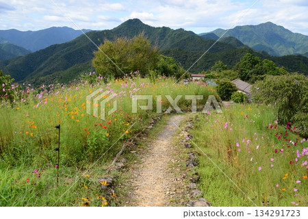 Hatenashi Village (Totsukawa Village, Yoshino District, Nara Prefecture) 134291723
