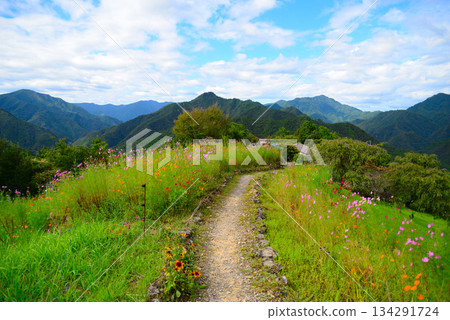Hatenashi Village (Totsukawa Village, Yoshino District, Nara Prefecture) 134291724