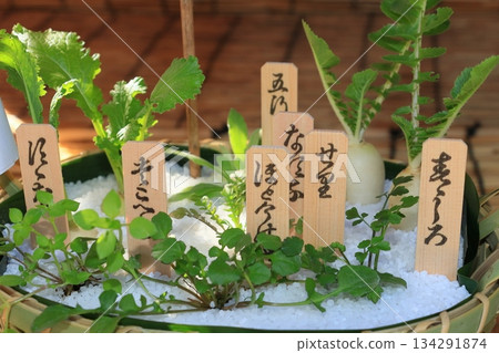 七種春藥山藥野菜粥群栽 134291874