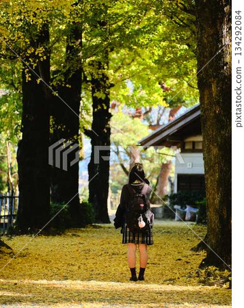 高中女生在銀杏樹成蔭的街道上拍照 134292084