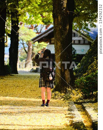 高中女生在銀杏樹成蔭的街道上拍照 134292152