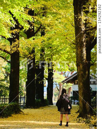 高中女生在銀杏樹成蔭的街道上拍照 高中女生在銀杏樹成蔭的街道上拍照 134292162