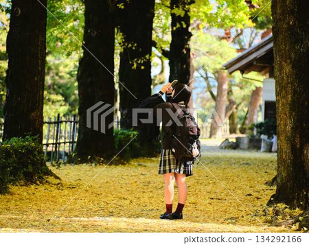 High school girls taking photos in the ginkgo tree-lined street High school girls taking photos in the ginkgo tree-lined street 134292166