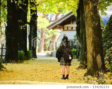 High school girls taking photos in the ginkgo tree-lined street High school girls taking photos in the ginkgo tree-lined street 134292233