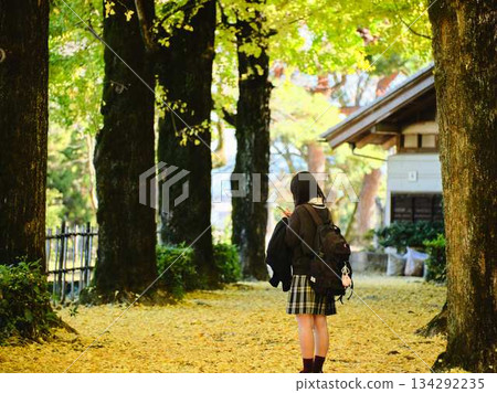 高中女生在銀杏樹成蔭的街道上拍照 高中女生在銀杏樹成蔭的街道上拍照 134292235