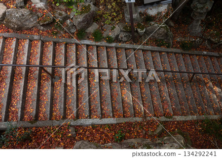 Fallen maple leaves on the ground in late autumn 134292241