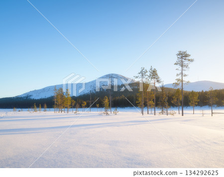Nature in the north. Snowdrifts with fluffy snow. Winter wonderland.  134292625