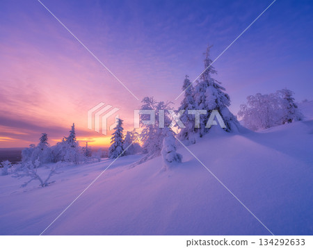 Nature in the north. Snowdrifts with fluffy snow. Winter wonderland. Trees covered with snow Nature in the north. Snowdrifts with fluffy snow. Winter wonderland. Trees covered with snow 134292633