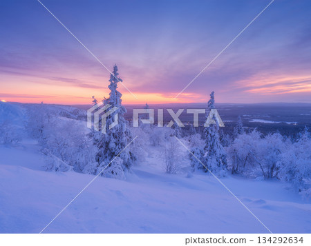 Nature in the north. Snowdrifts with fluffy snow. Winter wonderland. Trees covered with snow. Nature in the north. Snowdrifts with fluffy snow. Winter wonderland. Trees covered with snow. 134292634