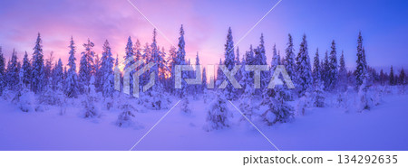 Snowdrifts and fluffy snow. Lapland, Finland. Winter landscape during sunset. North. Snowdrifts and fluffy snow. Lapland, Finland. Winter landscape during sunset. North. 134292635