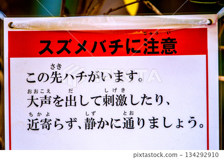 日本橫濱城市景觀－小心黃蜂！ 「前方有黃蜂。不要大聲喧嘩，以免激怒它們…」 134292910
