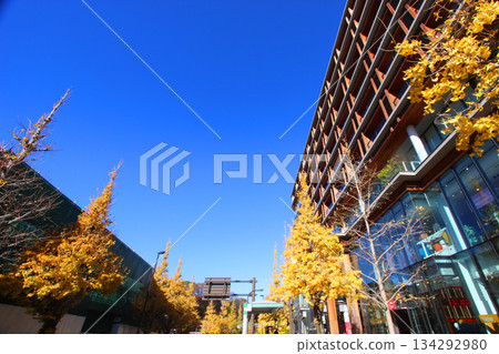 原宿站前 134292980