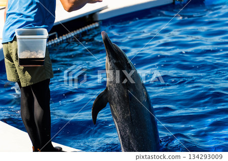 四國水族館 (08) 134293009