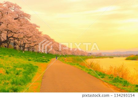 夕陽西下,映照著一目千本櫻和白石川的河面。 夕陽西下,映照著一目千本櫻和白石川的河面。 134293154