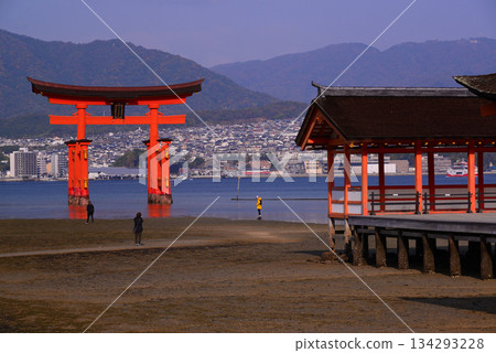Aki的Miyajima·嚴島神社Otorii 134293228