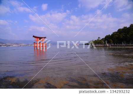 Aki的Miyajima·嚴島神社Otorii Aki的Miyajima·嚴島神社Otorii 134293232