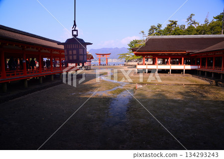 Aki's Miyajima · Itsukushima Shrine Otorii Aki's Miyajima · Itsukushima Shrine Otorii 134293243
