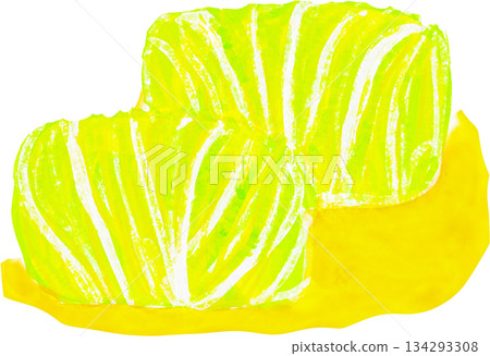 Illustration of stuffed cabbage 134293308