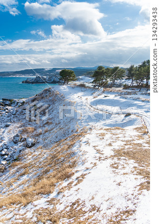從青森縣八戶市足重崎展望台眺望種指海岸的雪景 從青森縣八戶市足重崎展望台眺望種指海岸的雪景 134293438